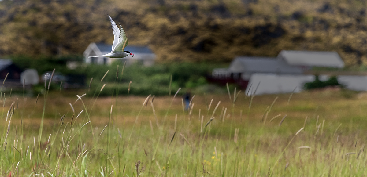 20190716_ND5_4913wwNF.jpg