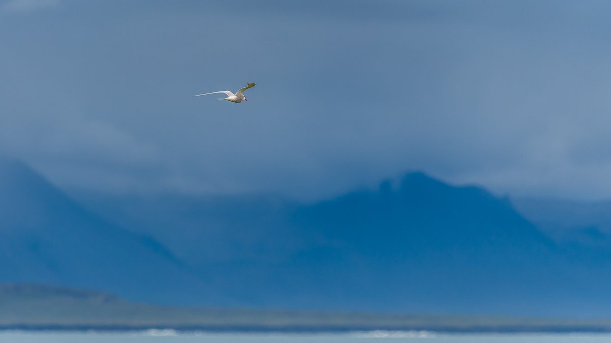 20190716_ND5_4939k.jpg