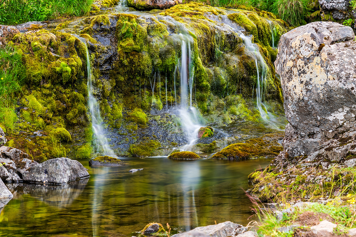 20190717_D850_2238NF.jpg