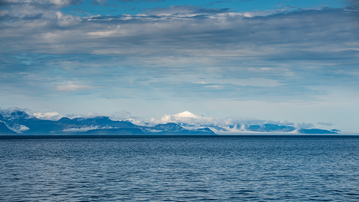 20190717_ND5_4178wNF.jpg