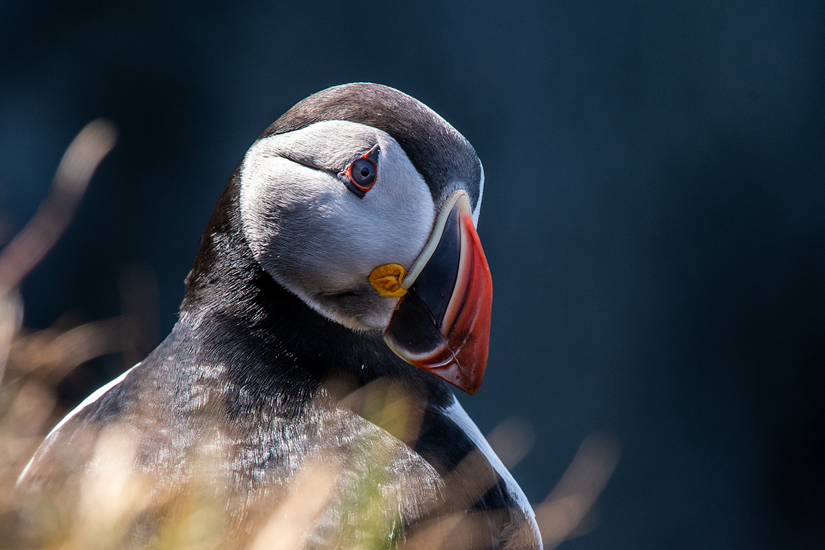 20190718_ND5_3645NF.jpg