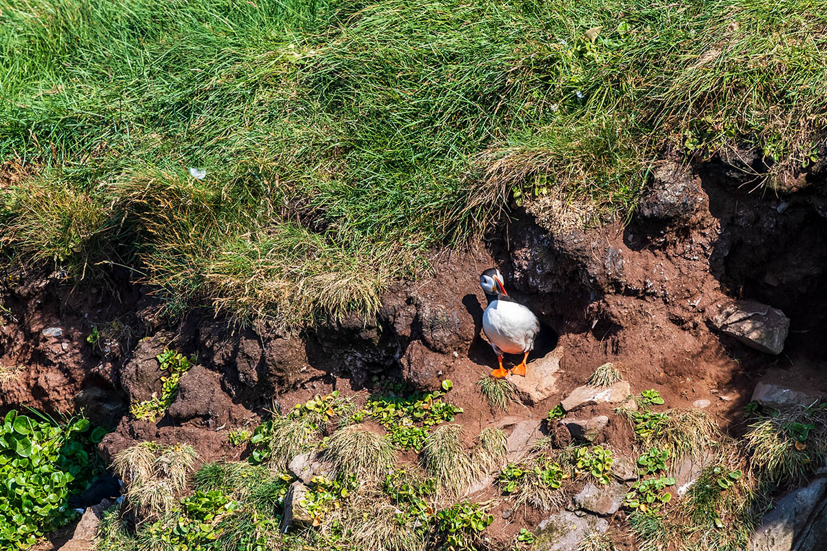 20190718_ND5_3779NF.jpg