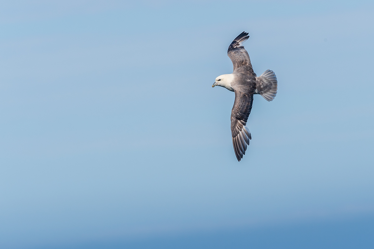 20190718_ND5_3786NF.jpg
