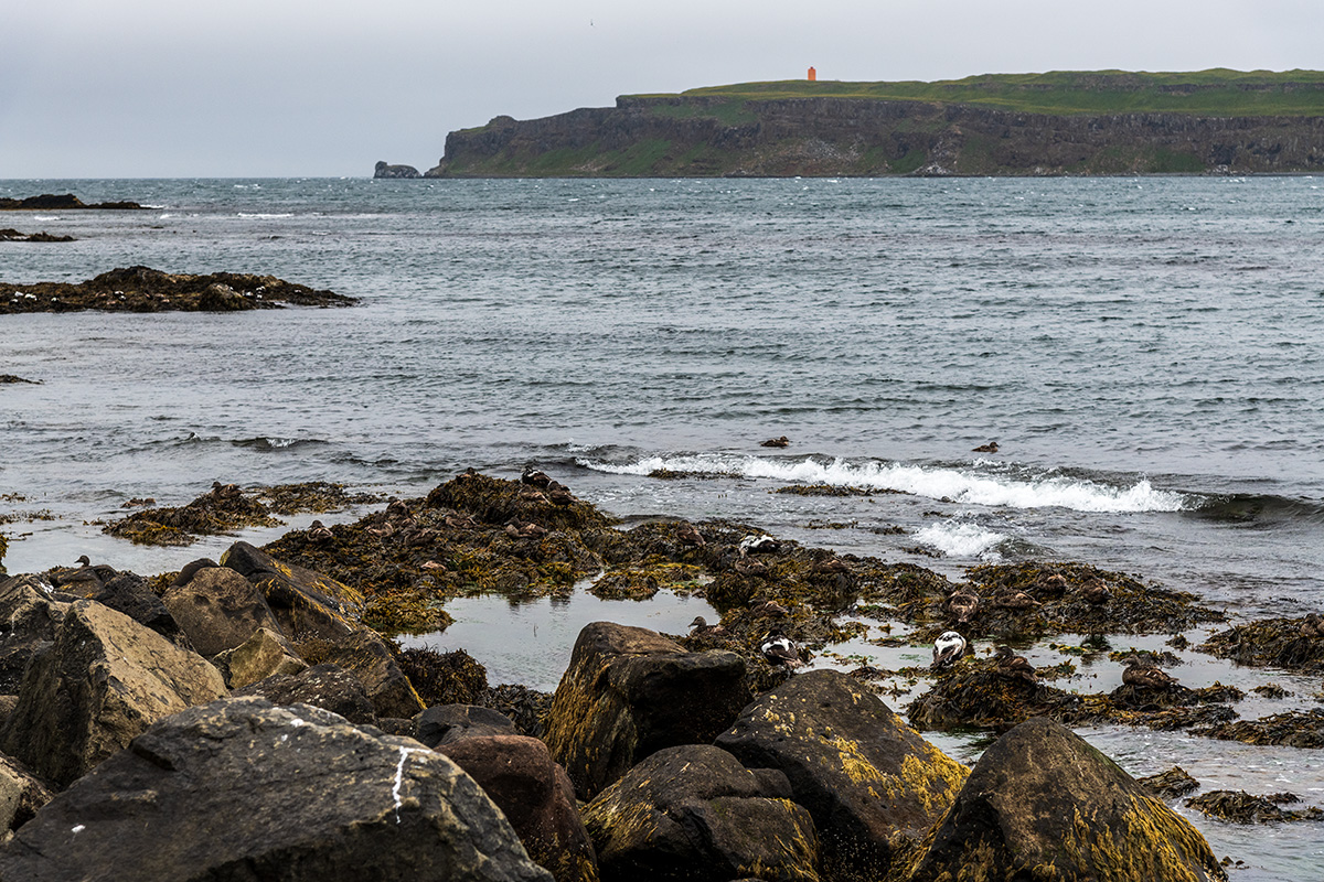 20190719_D850_1901NF.jpg