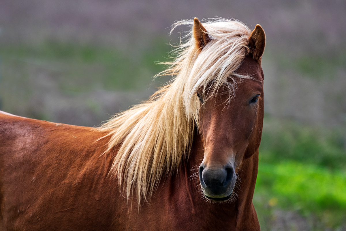 20190720_ND5_3327vNF.jpg