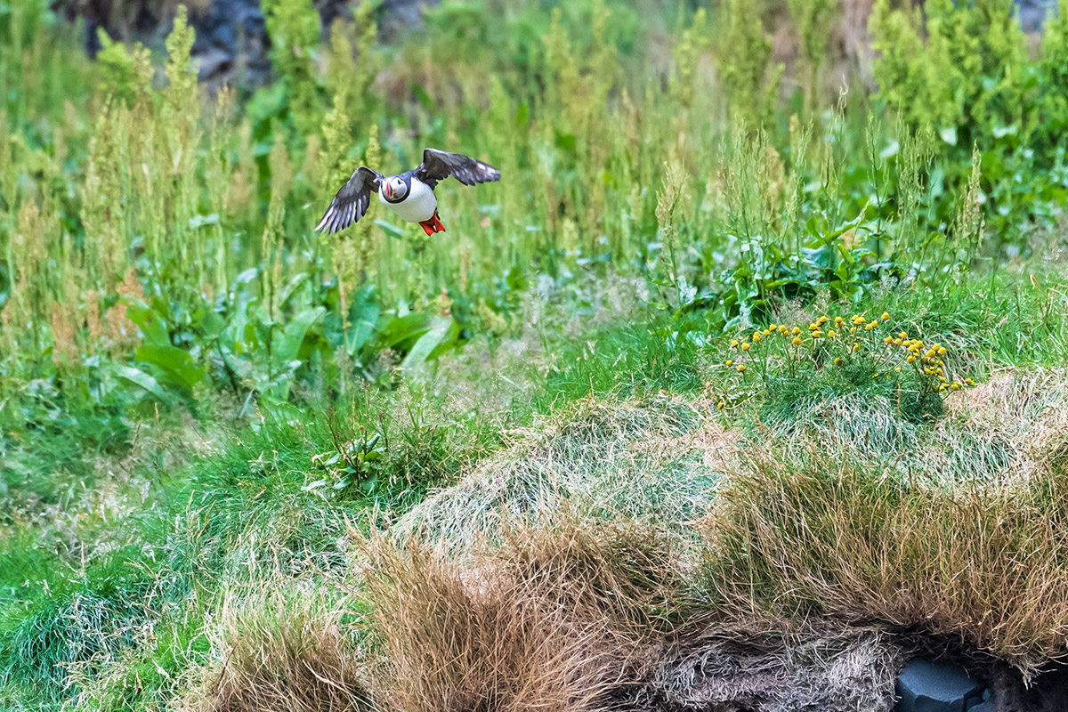 20190725_ND5_2576NF.jpg