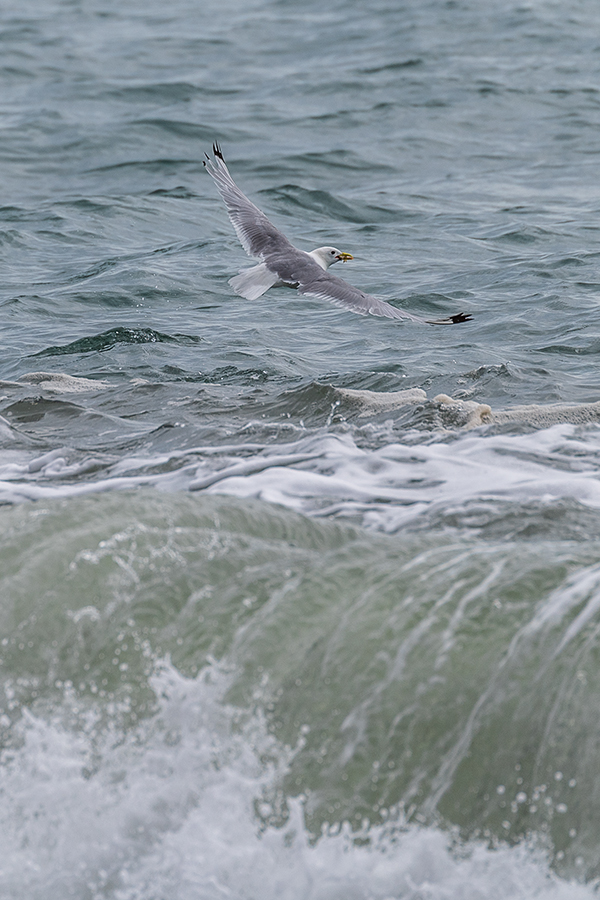 20190725_ND5_4997hNF.jpg