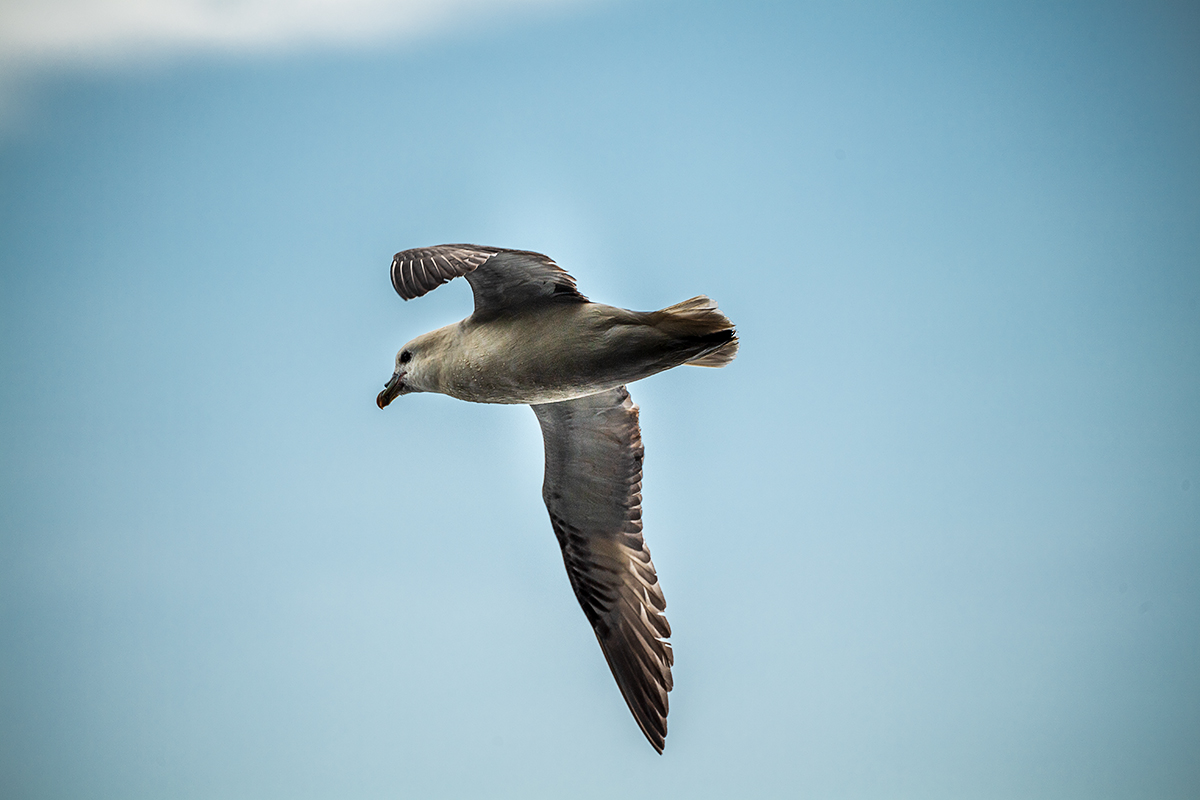 20190725_ND5_5053NF.jpg