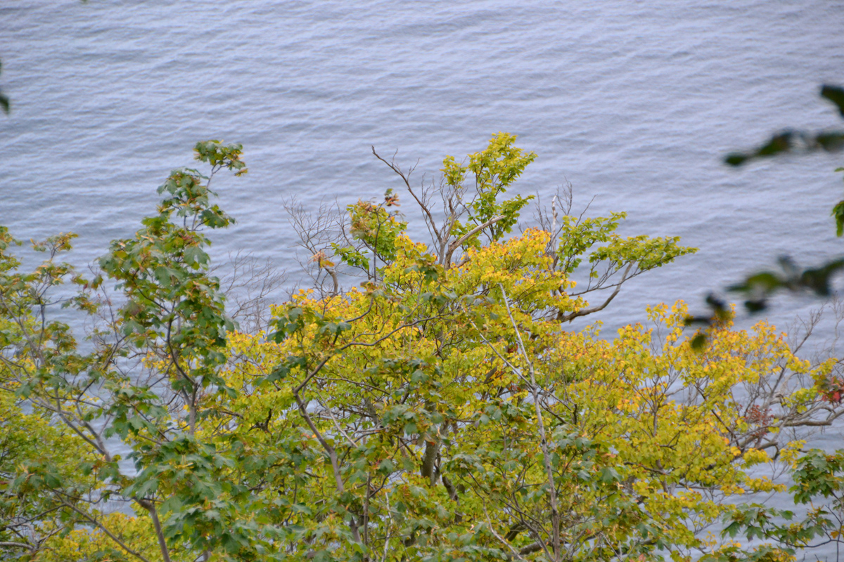 20190908_161439.jpg