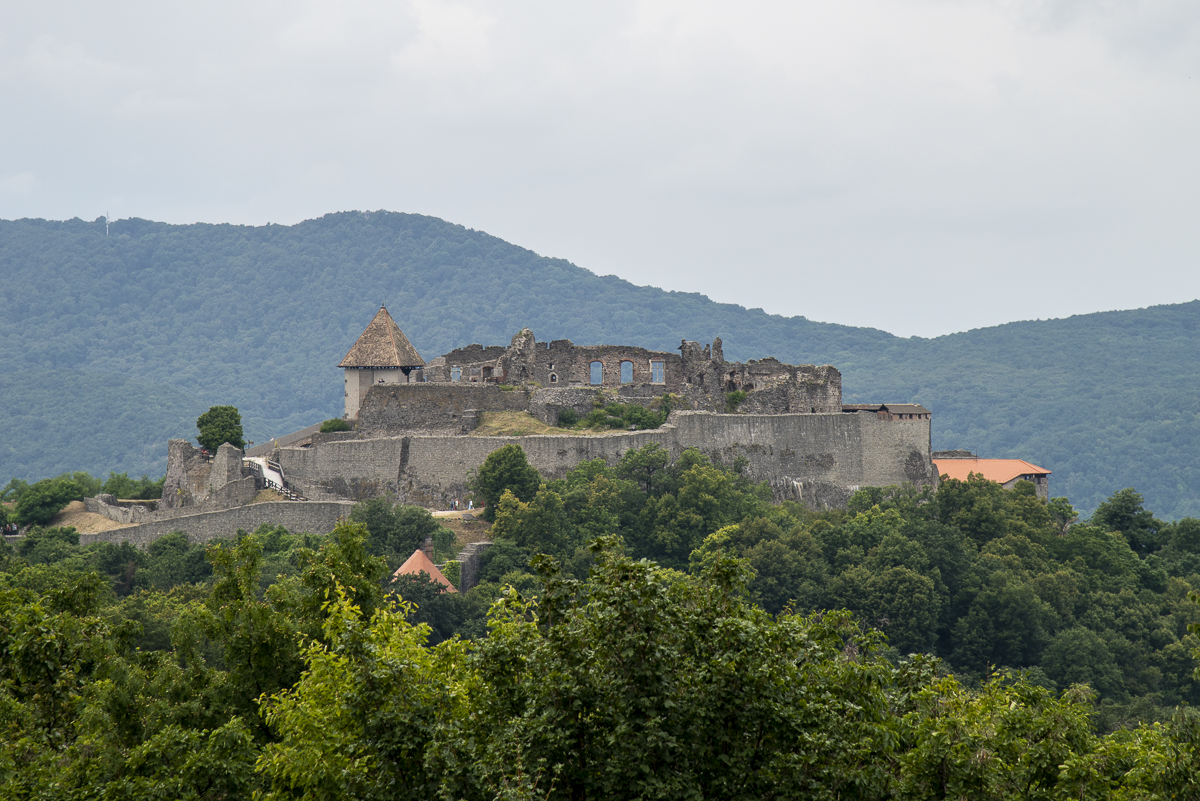 20190928 wowarich.jpg