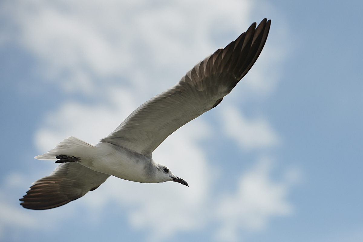 20191007_140326.jpg