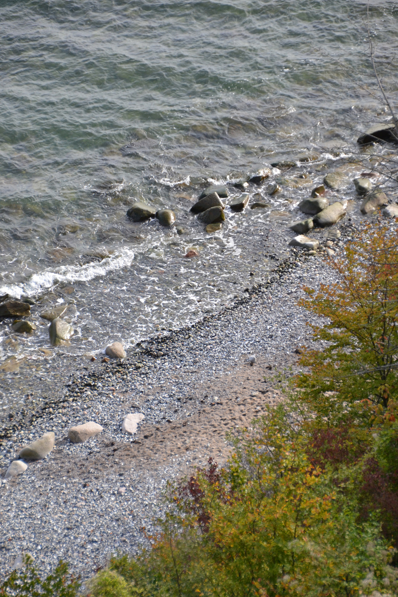 20191009_135247.jpg