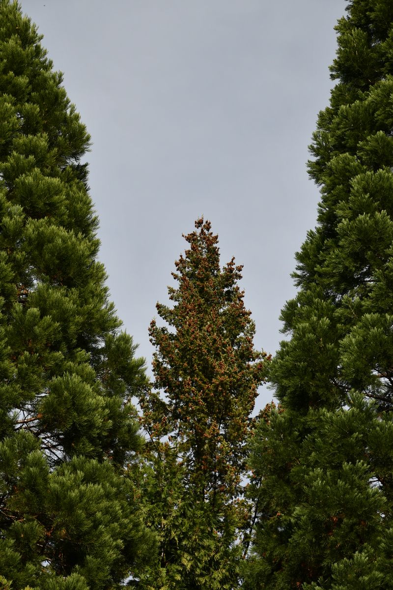 20191022_140816nf.jpg