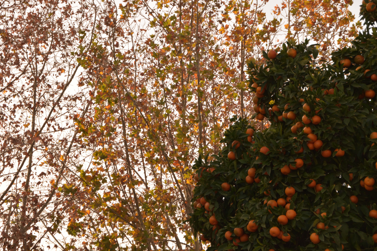 20191218_155856nf.jpg