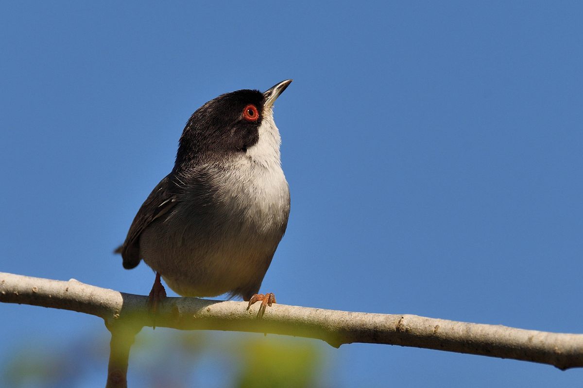 2019_06160.jpg