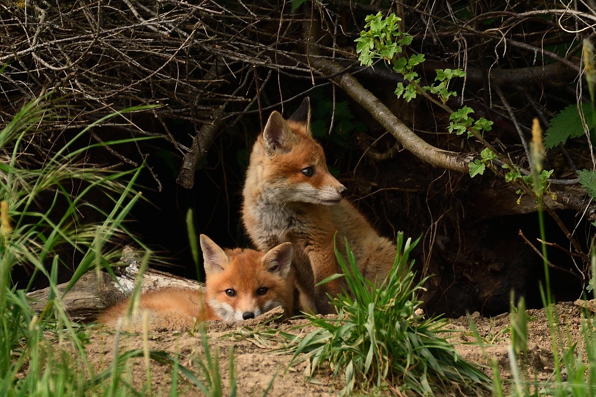 2019_10047.jpg
