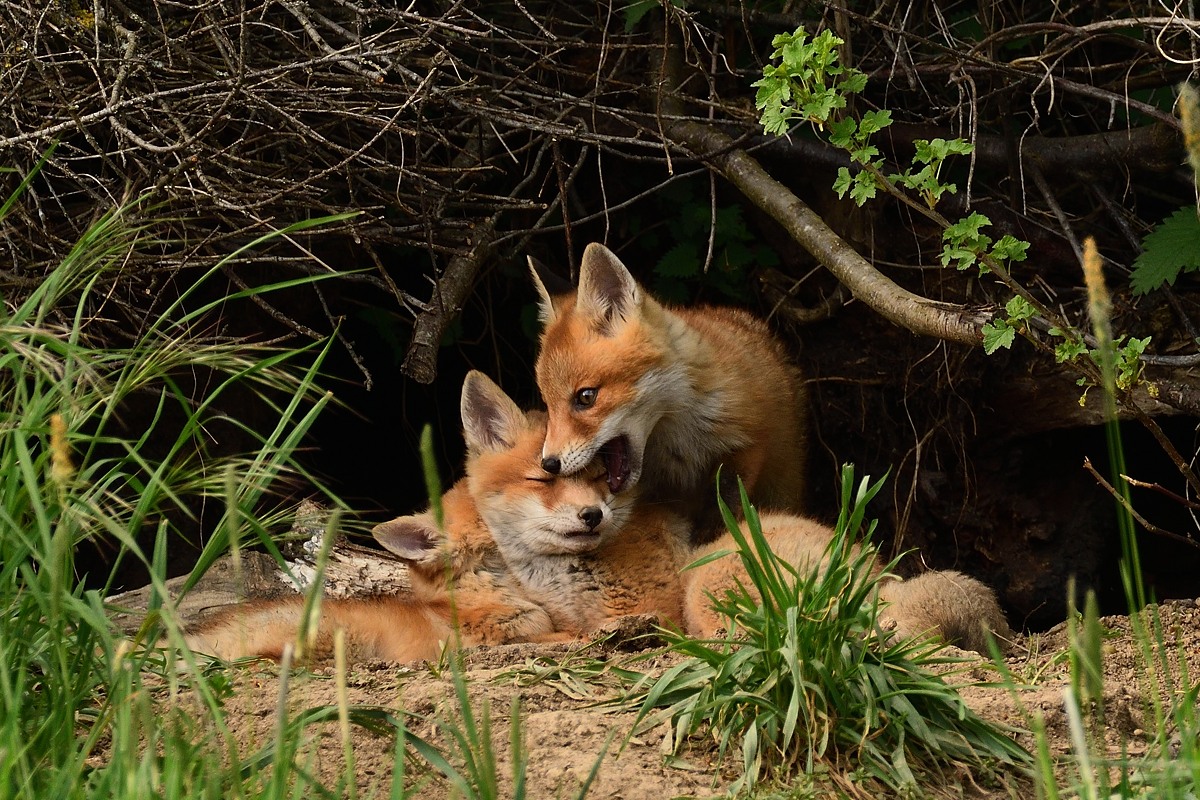 2019_10064.jpg
