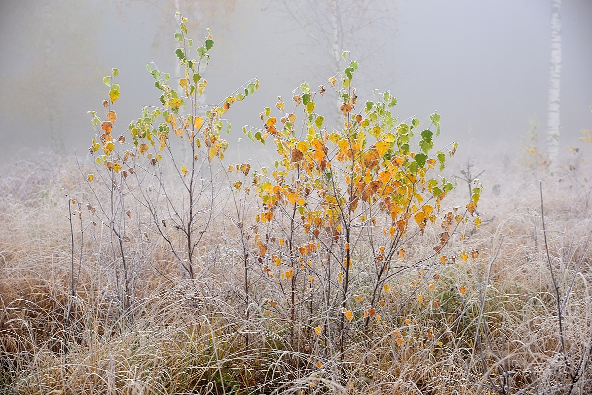 2019_24476.jpg
