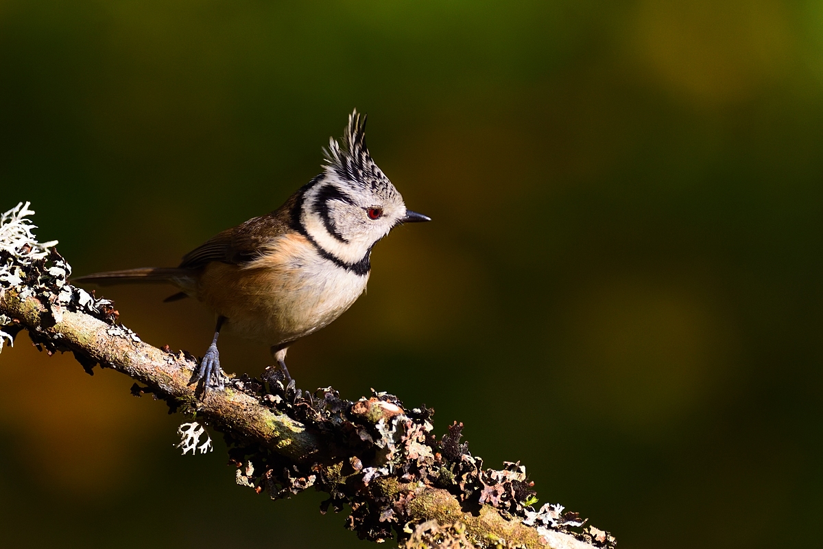 2019_24776.jpg