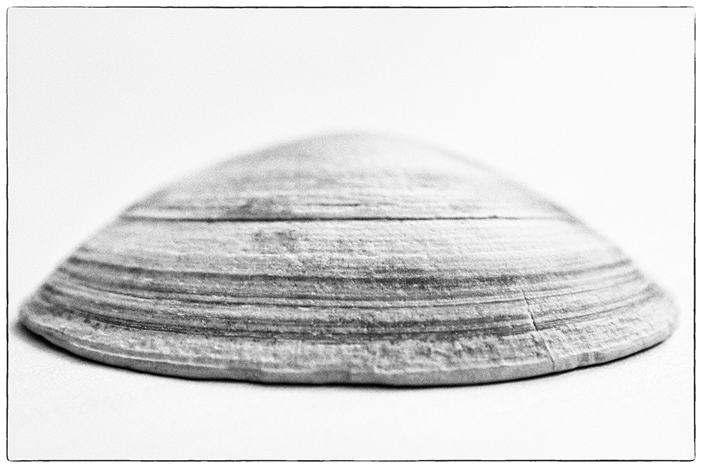 202/365