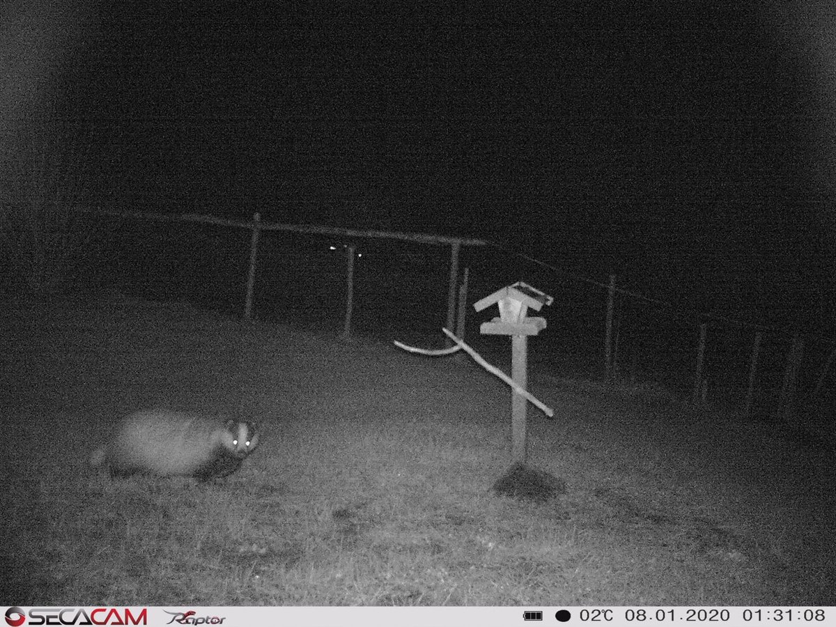2020-01-08_Secacam1.JPG