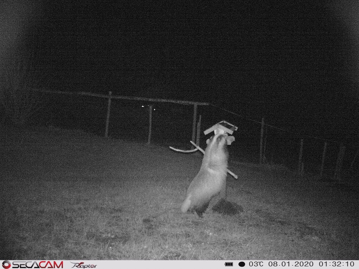 2020-01-08_Secacam3.JPG