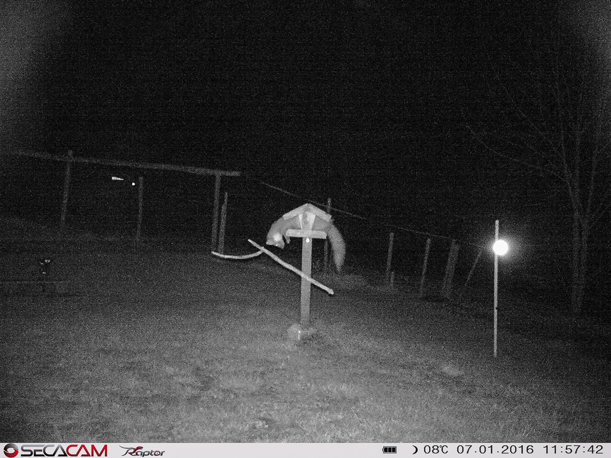 2020-03-28_Secacam_A0500.jpg