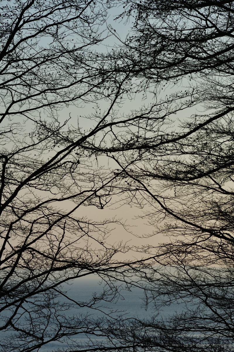 20200328_173659nf.jpg