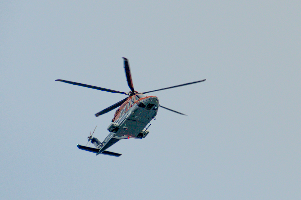 20200615_080321_nf.jpg