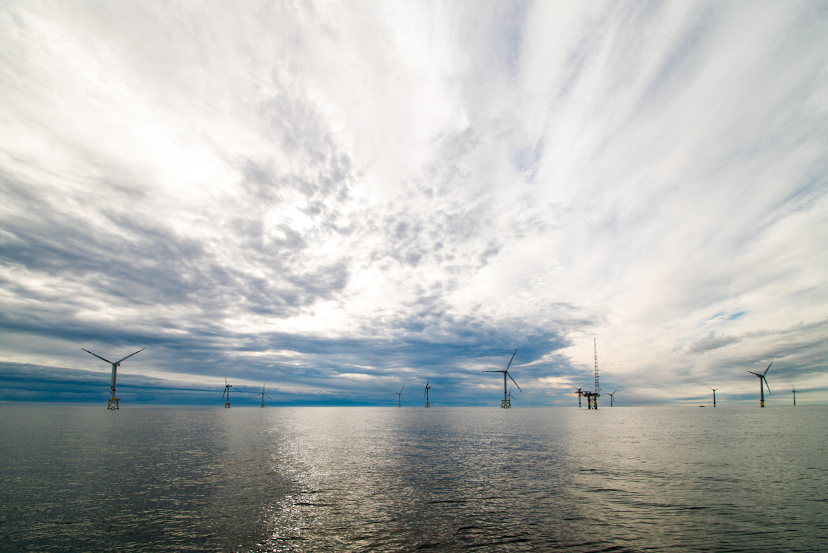 20200619_082037_nf.jpg