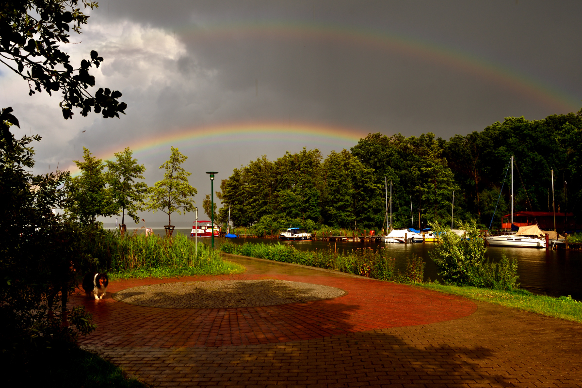 20200706_175346_nf.jpg