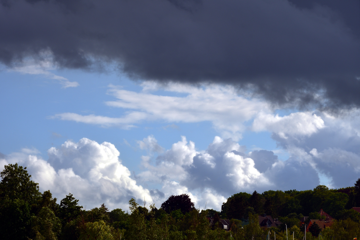 20200706_175731_nf.jpg