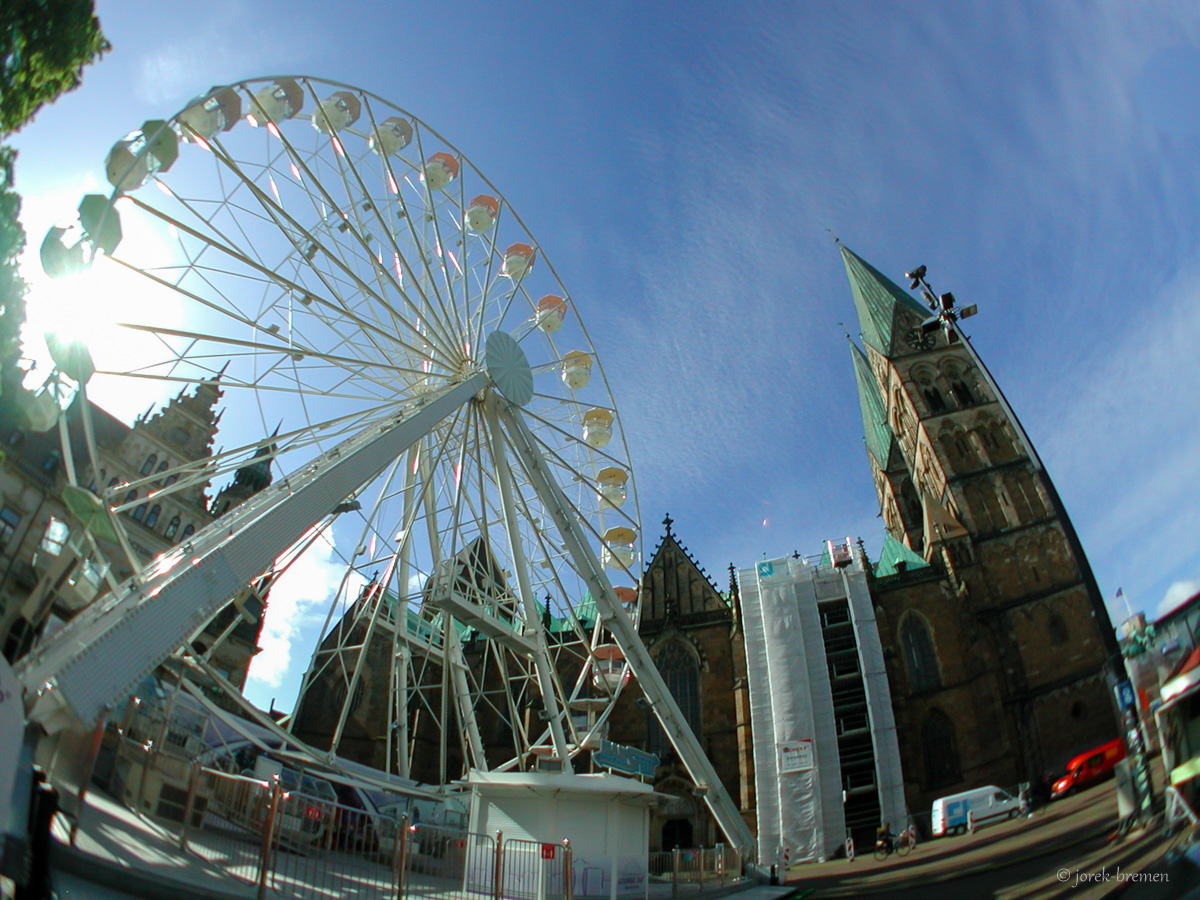20200707-031.jpg