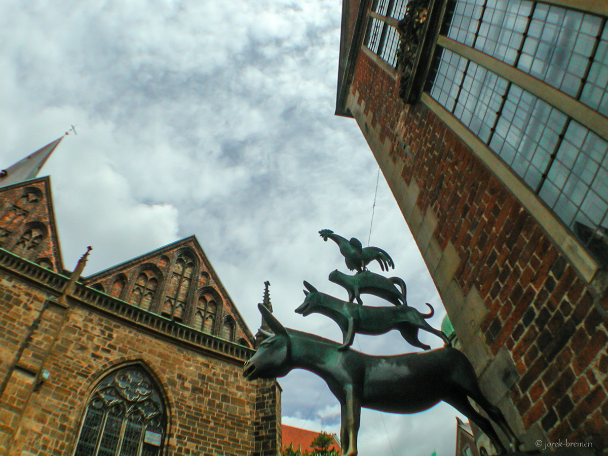20200707-053.jpg