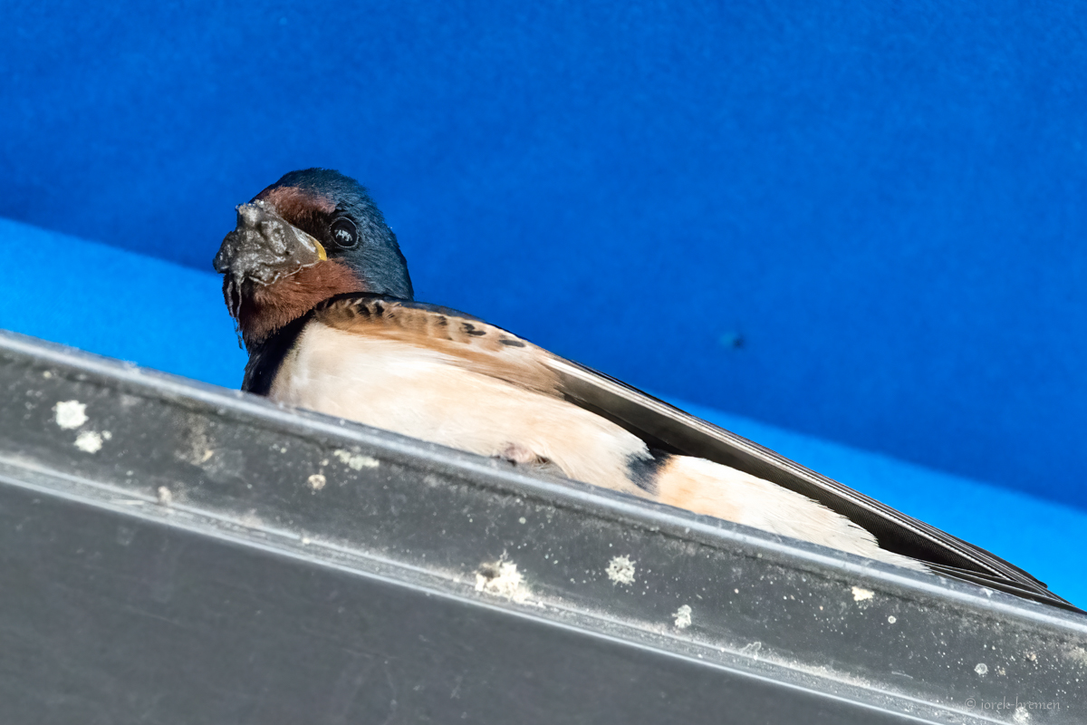 full