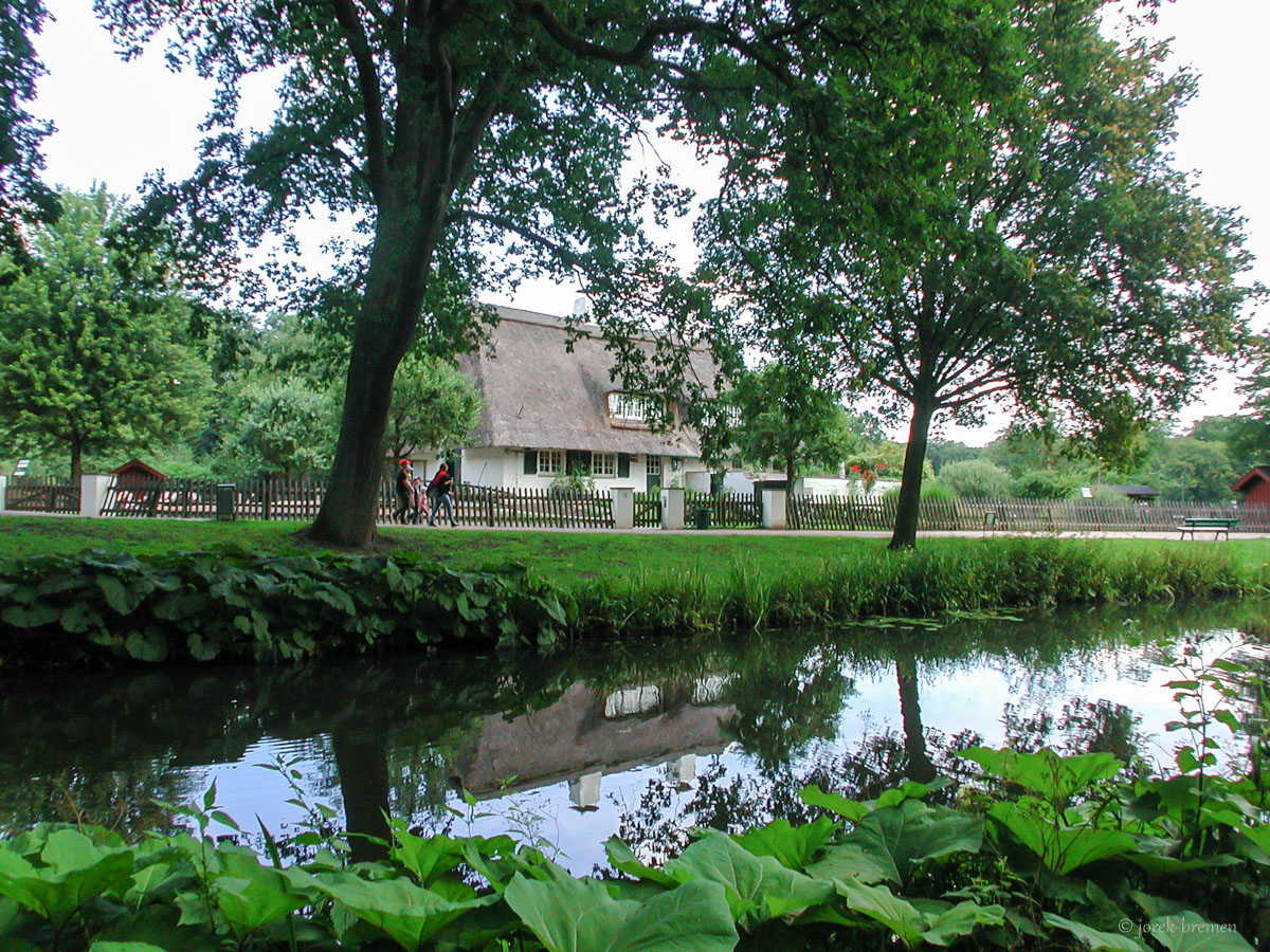 20200713-055.jpg
