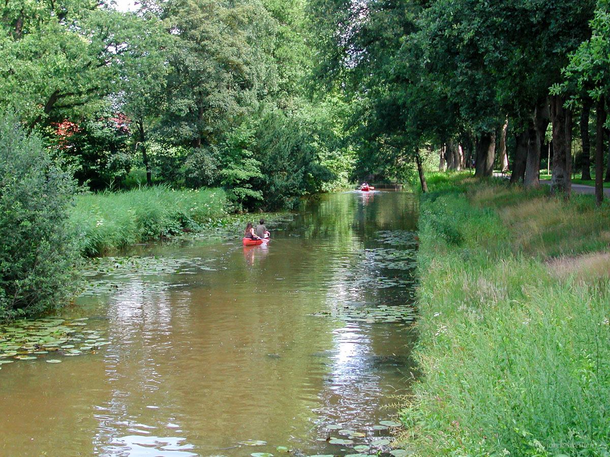 20200713-056.jpg