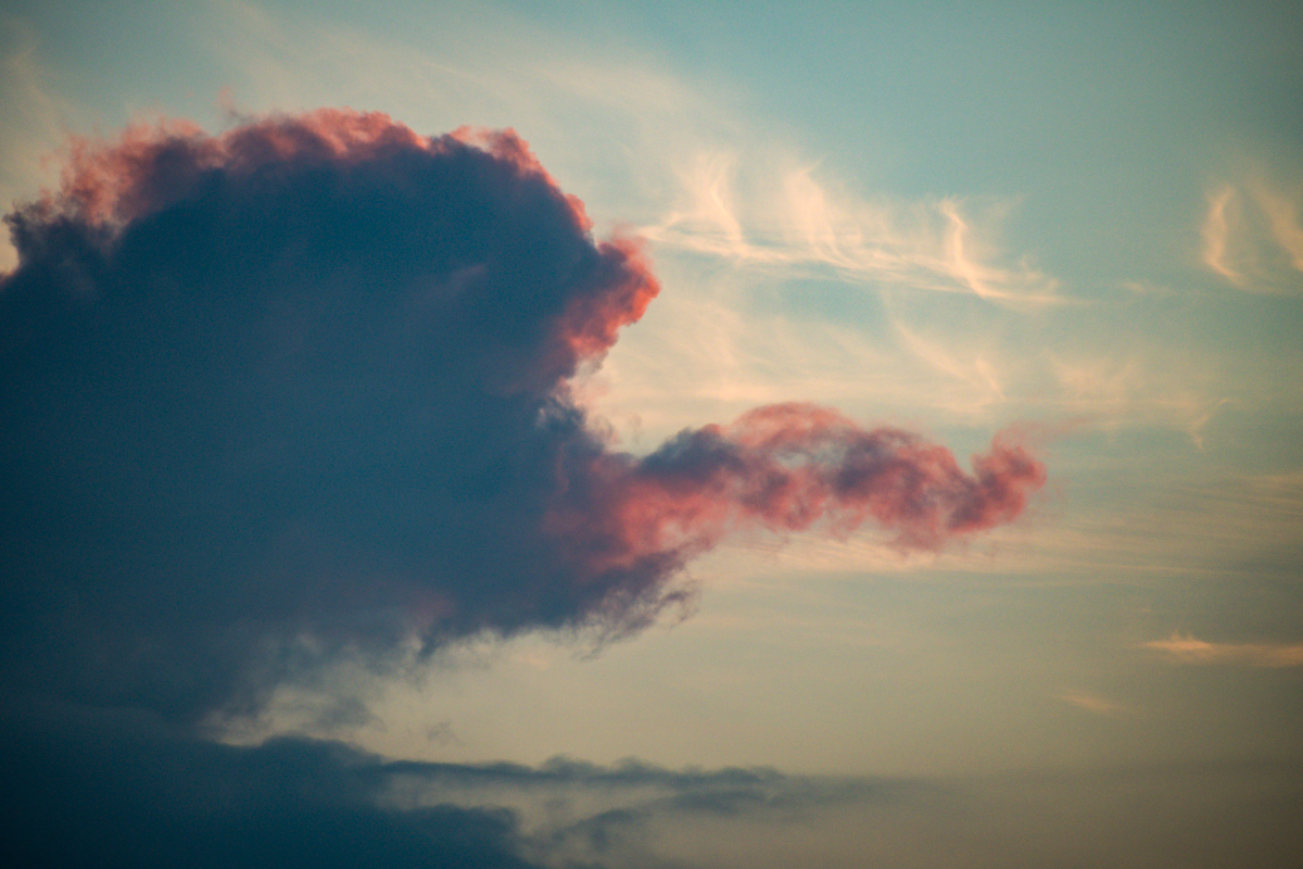 20200716_215353_nf.jpg