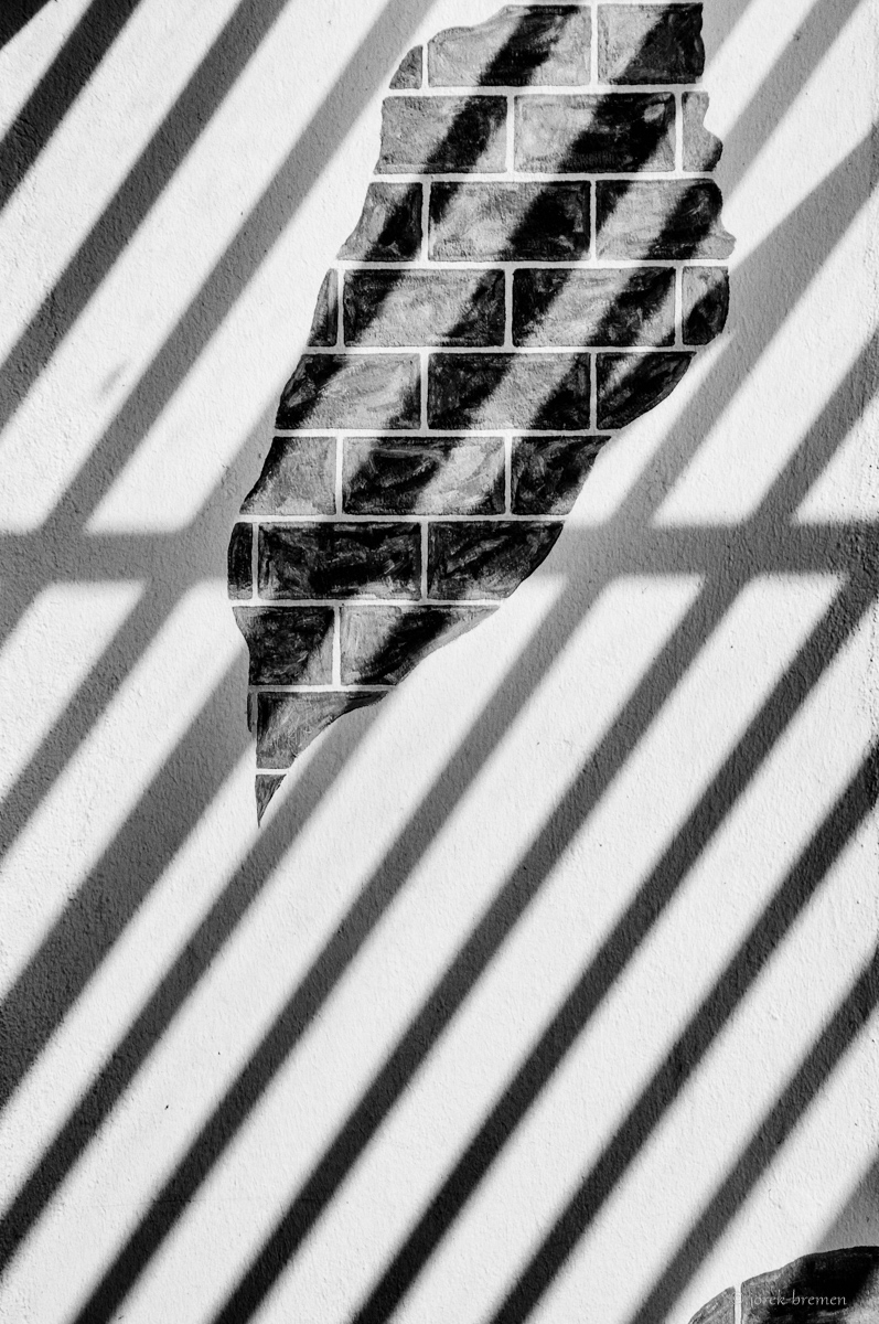 20200805-002.jpg