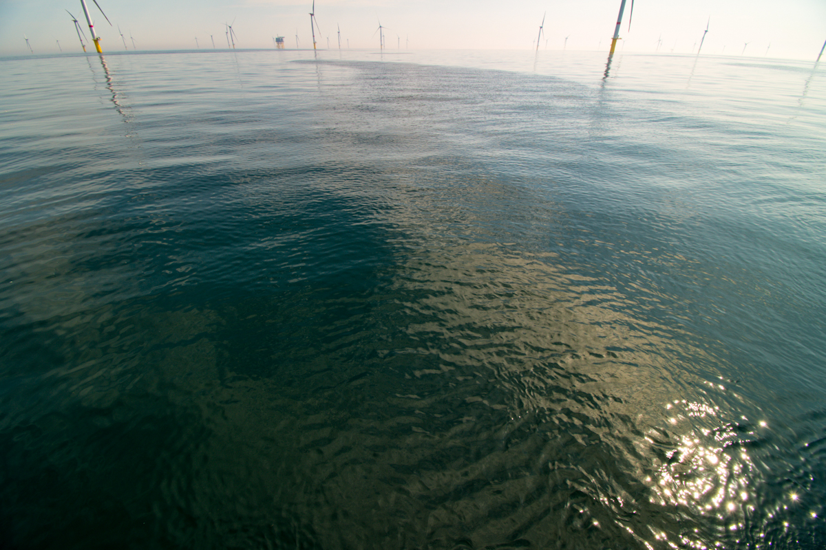 20200808_114127_nf.jpg