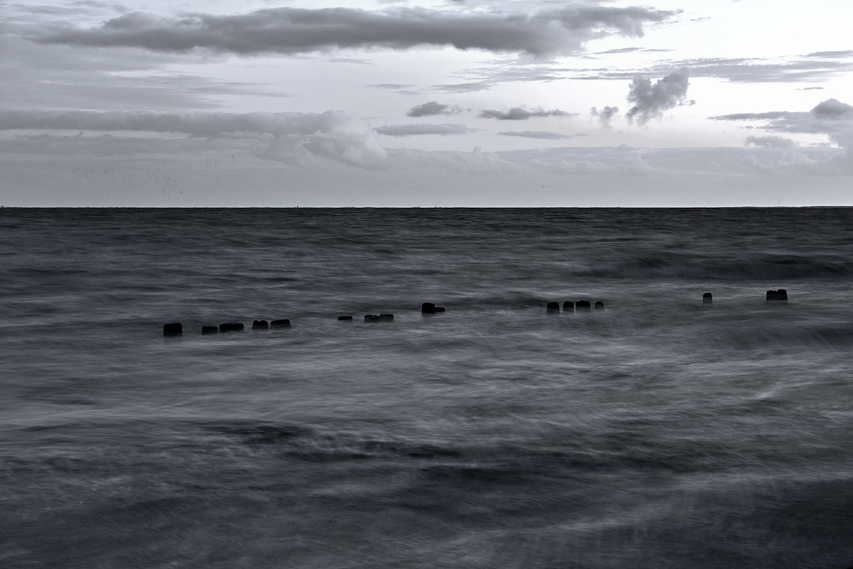 20200905_204113_nf.jpg
