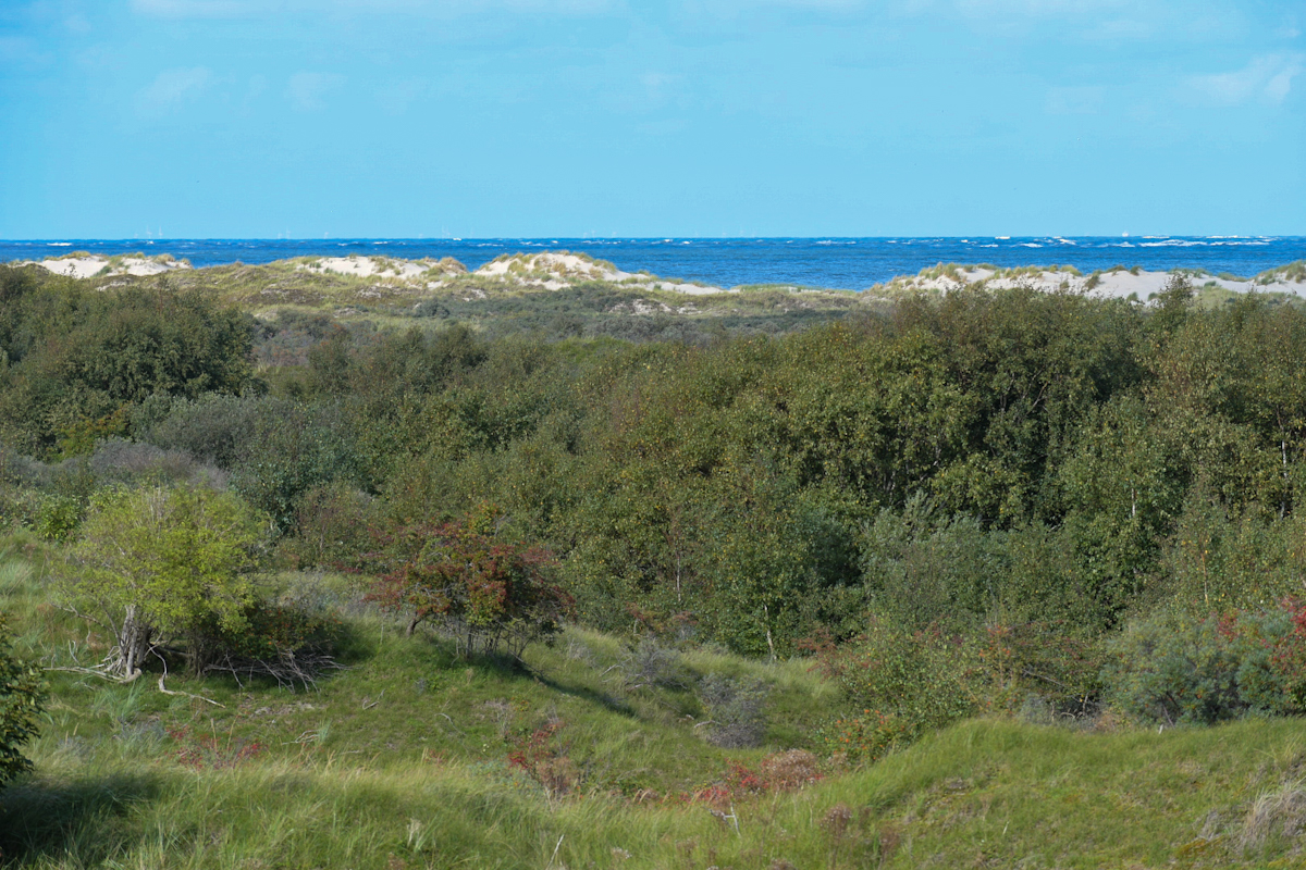 20200910_152626_nf.jpg