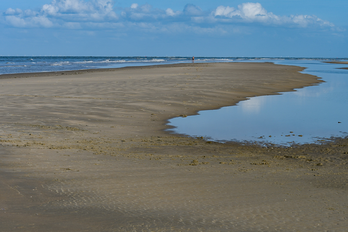 20200910_164907_nf.jpg