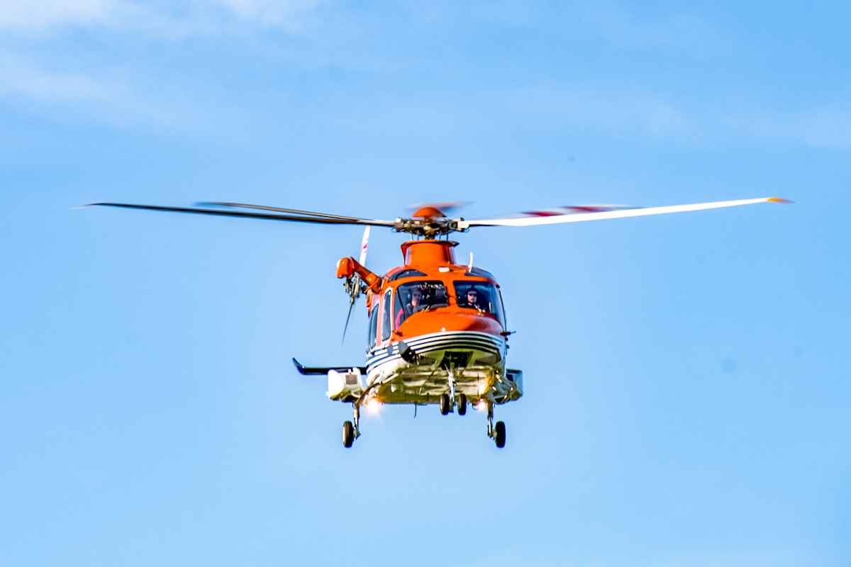 20200913_173518_nf.jpg