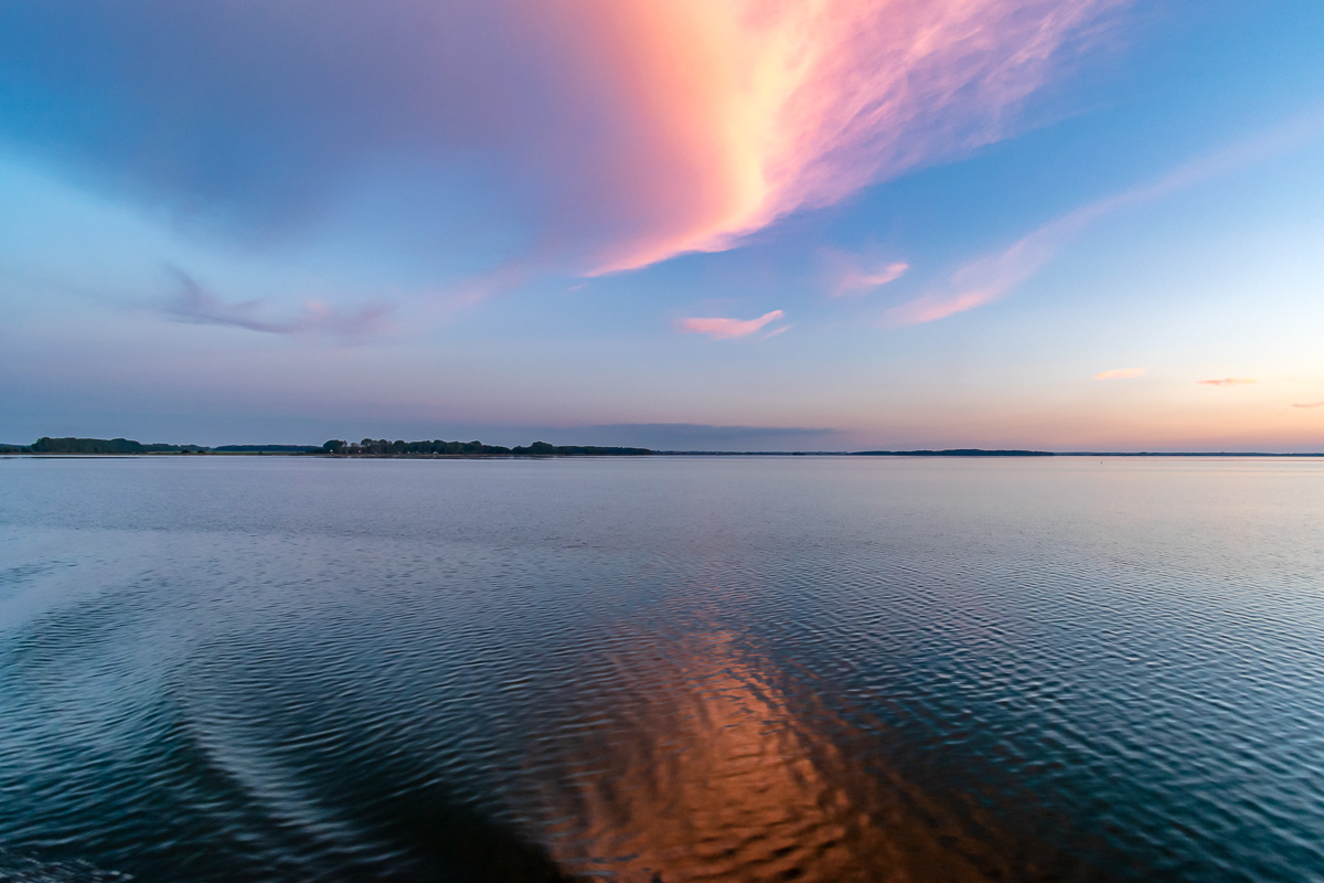 20200929-DSC_1105.jpg