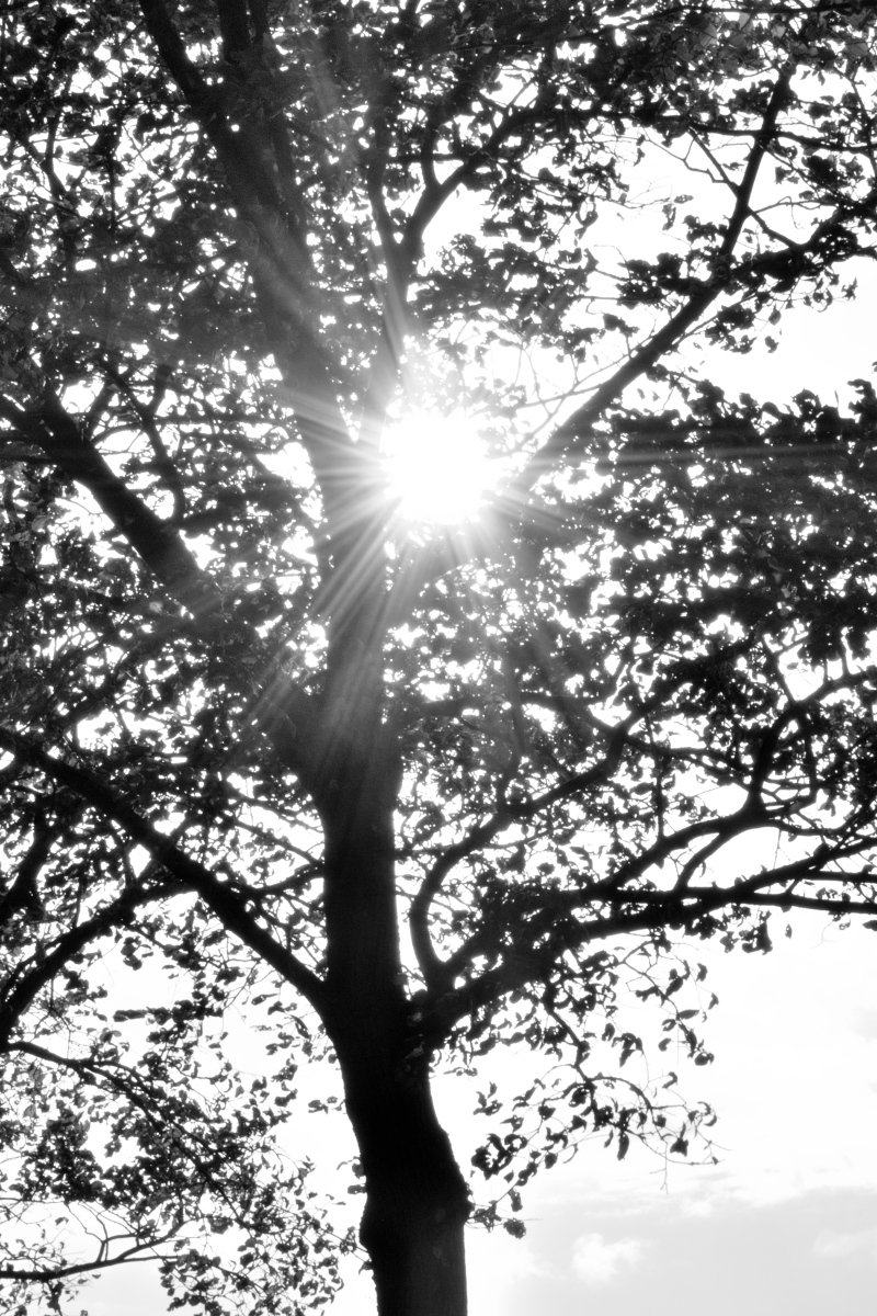 20201007_171730_nf.jpg