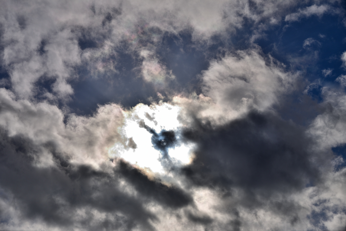 20201102_133438_nf.jpg