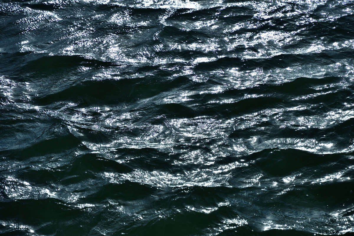 20201102_133553_nf.jpg