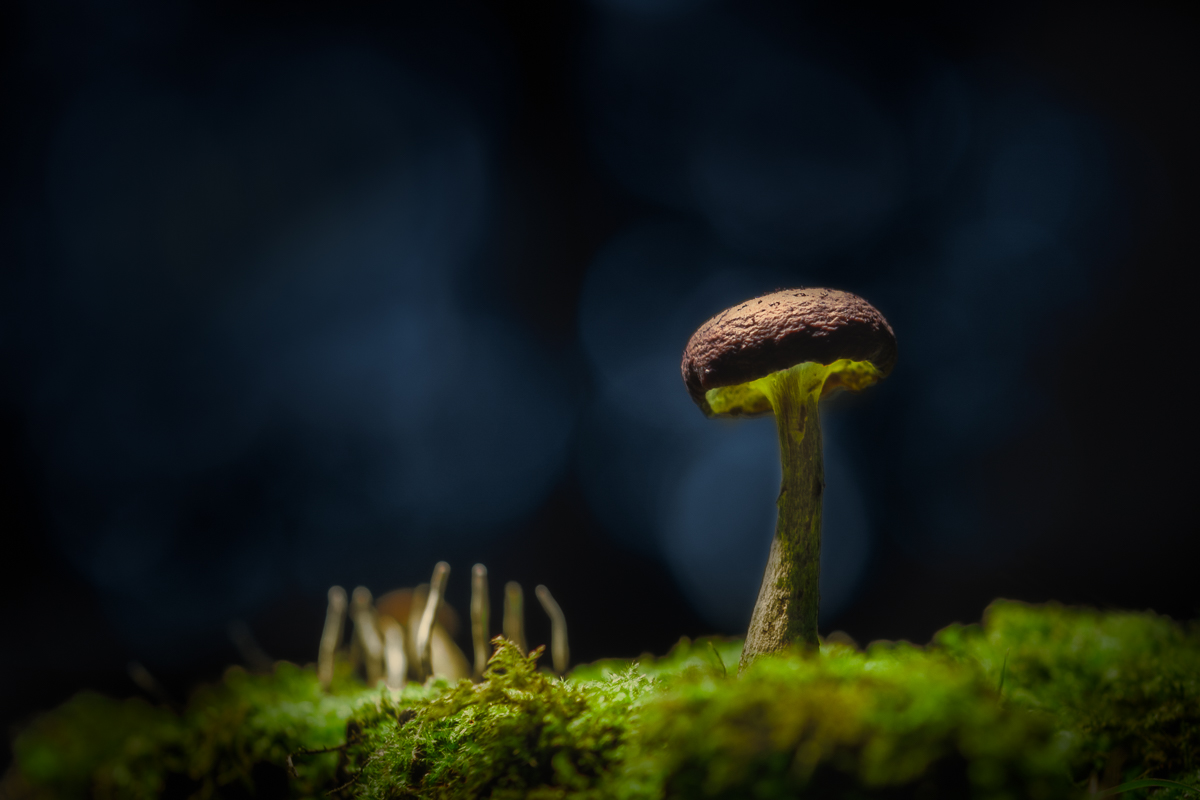 20201102_181748.jpg