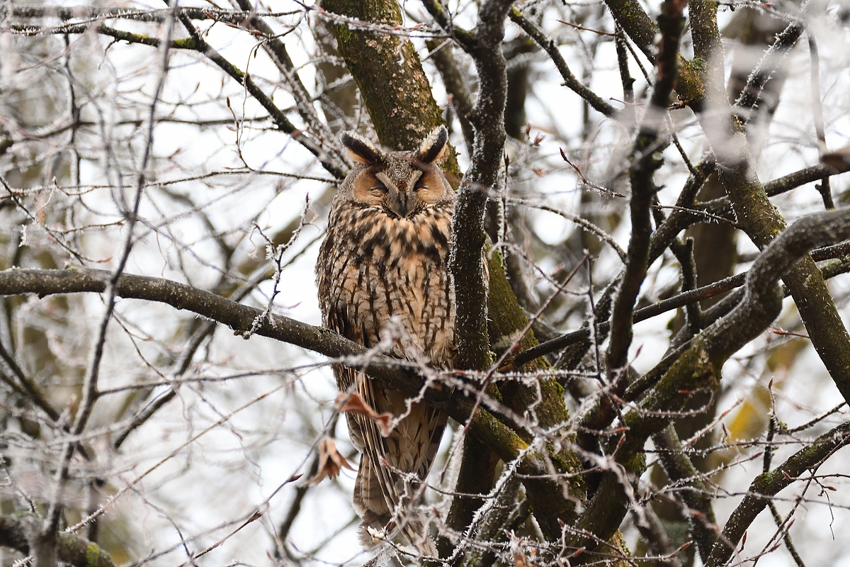 2020_01152.jpg